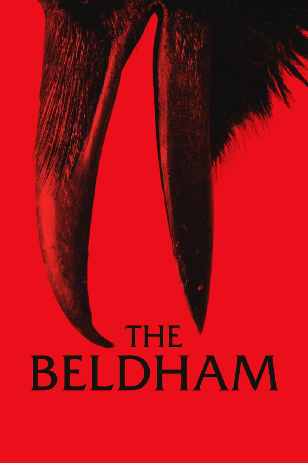  The Beldham 