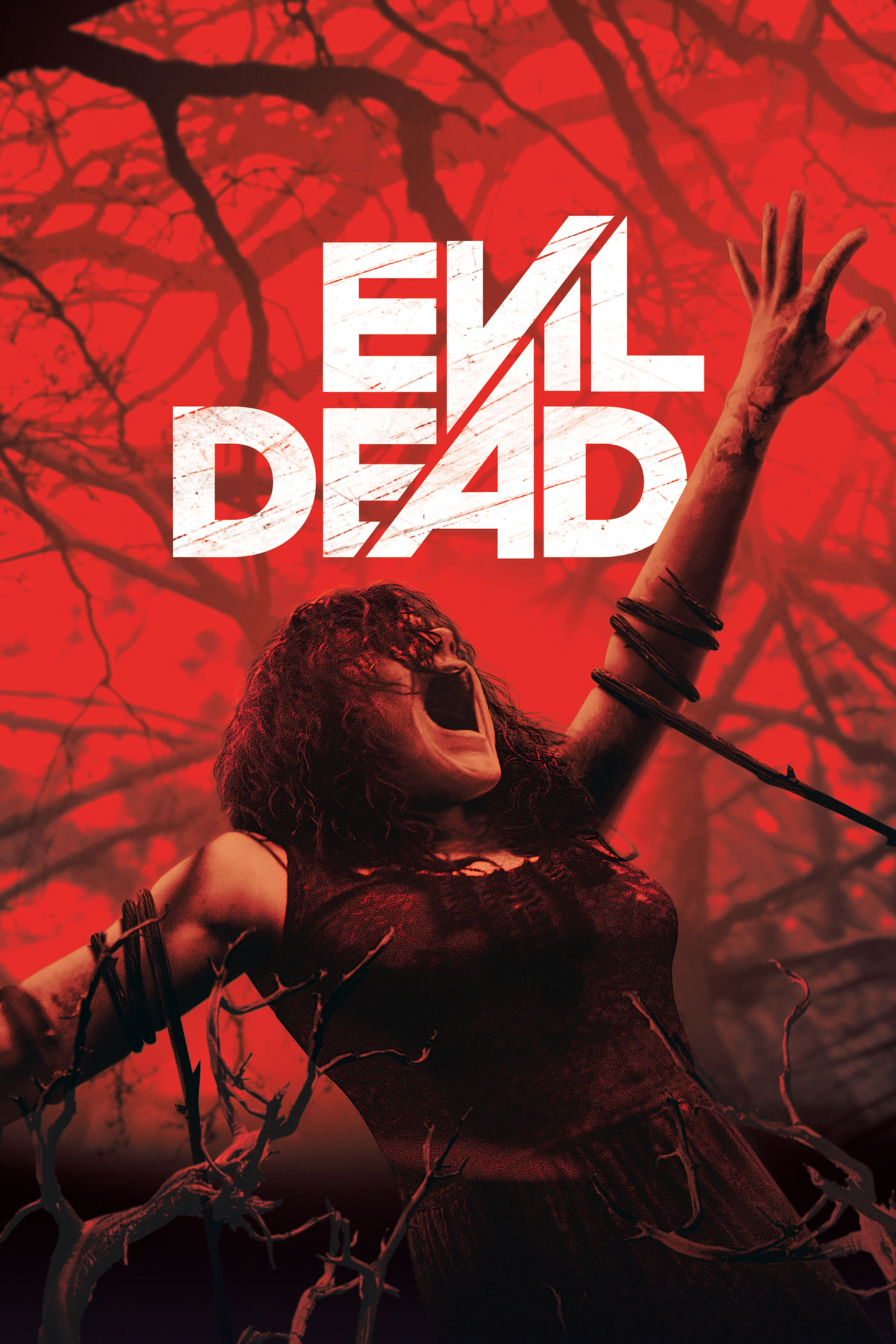  Evil Dead 