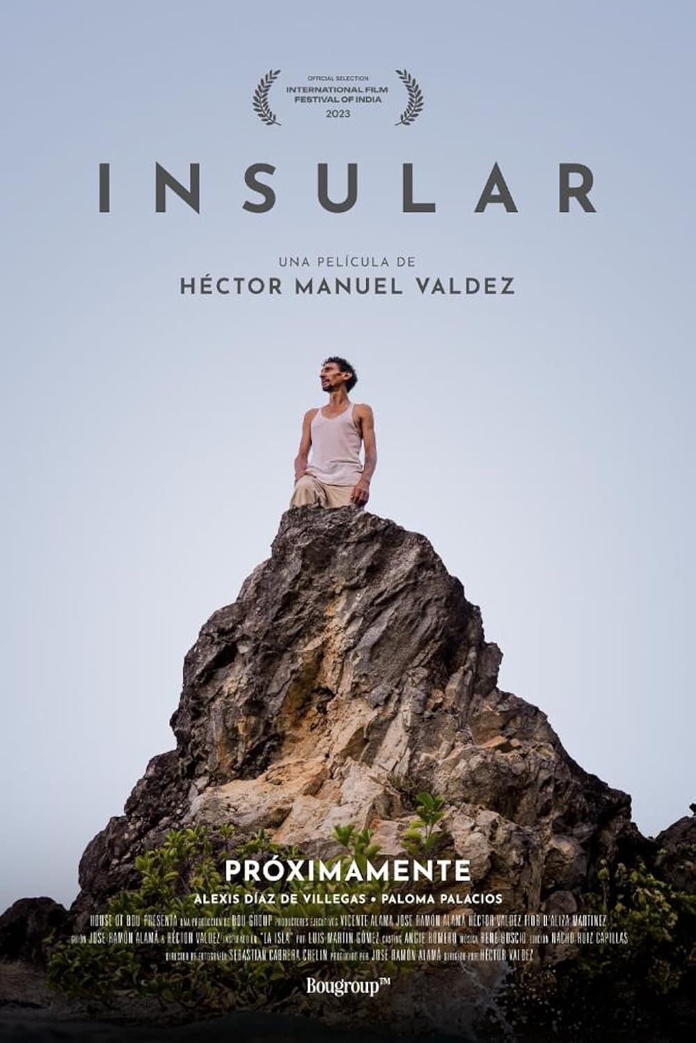  Insular 