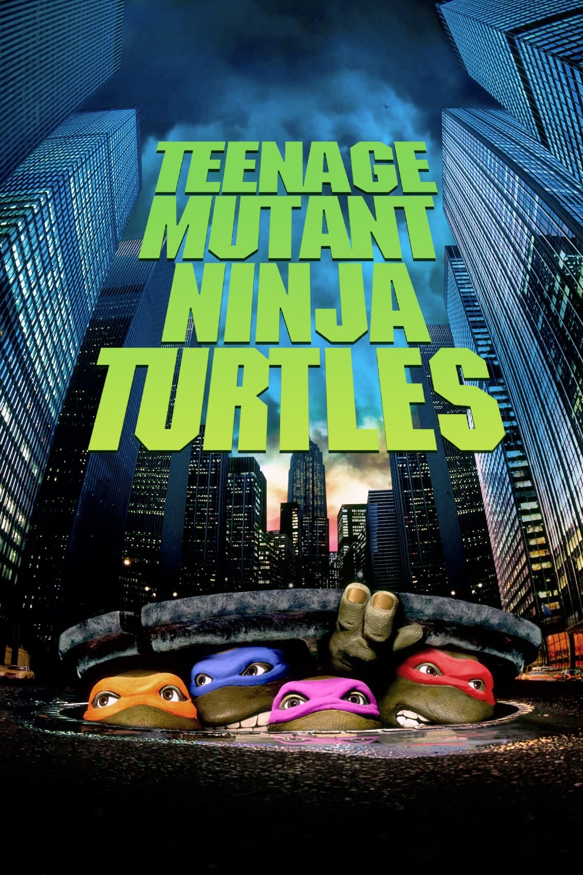  Teenage Mutant Ninja Turtles 