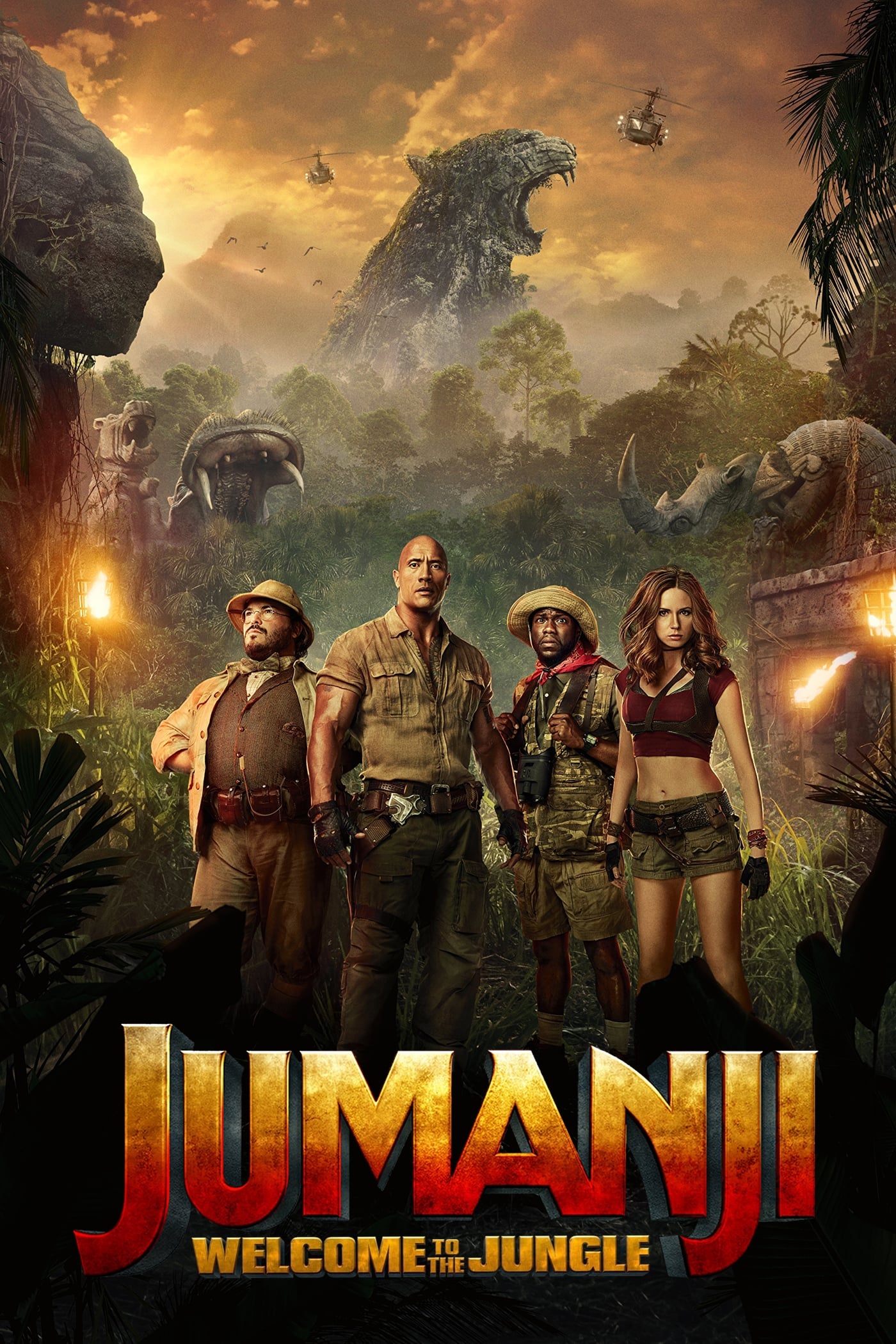  Jumanji: Welcome to the Jungle 