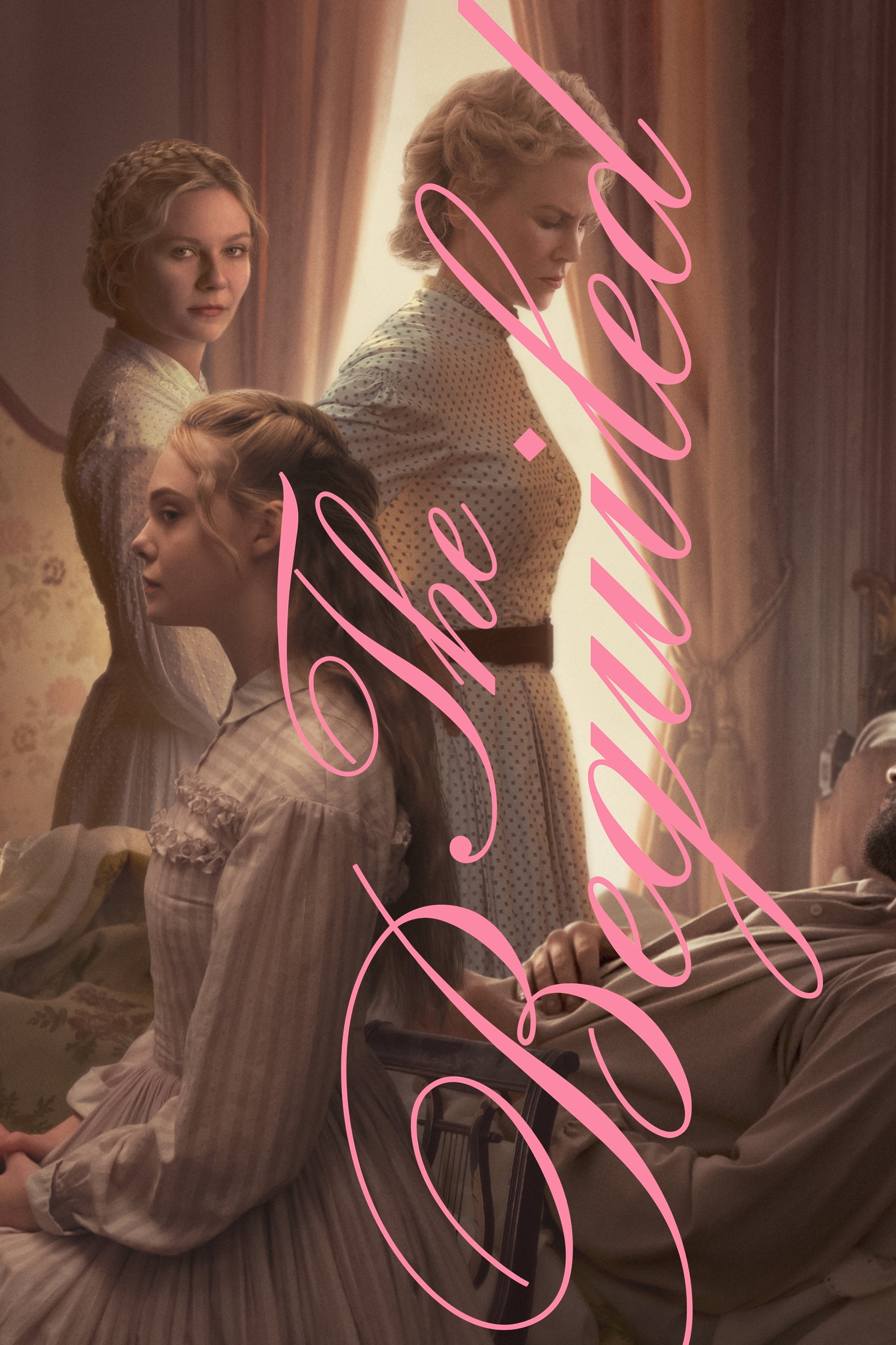  The Beguiled 