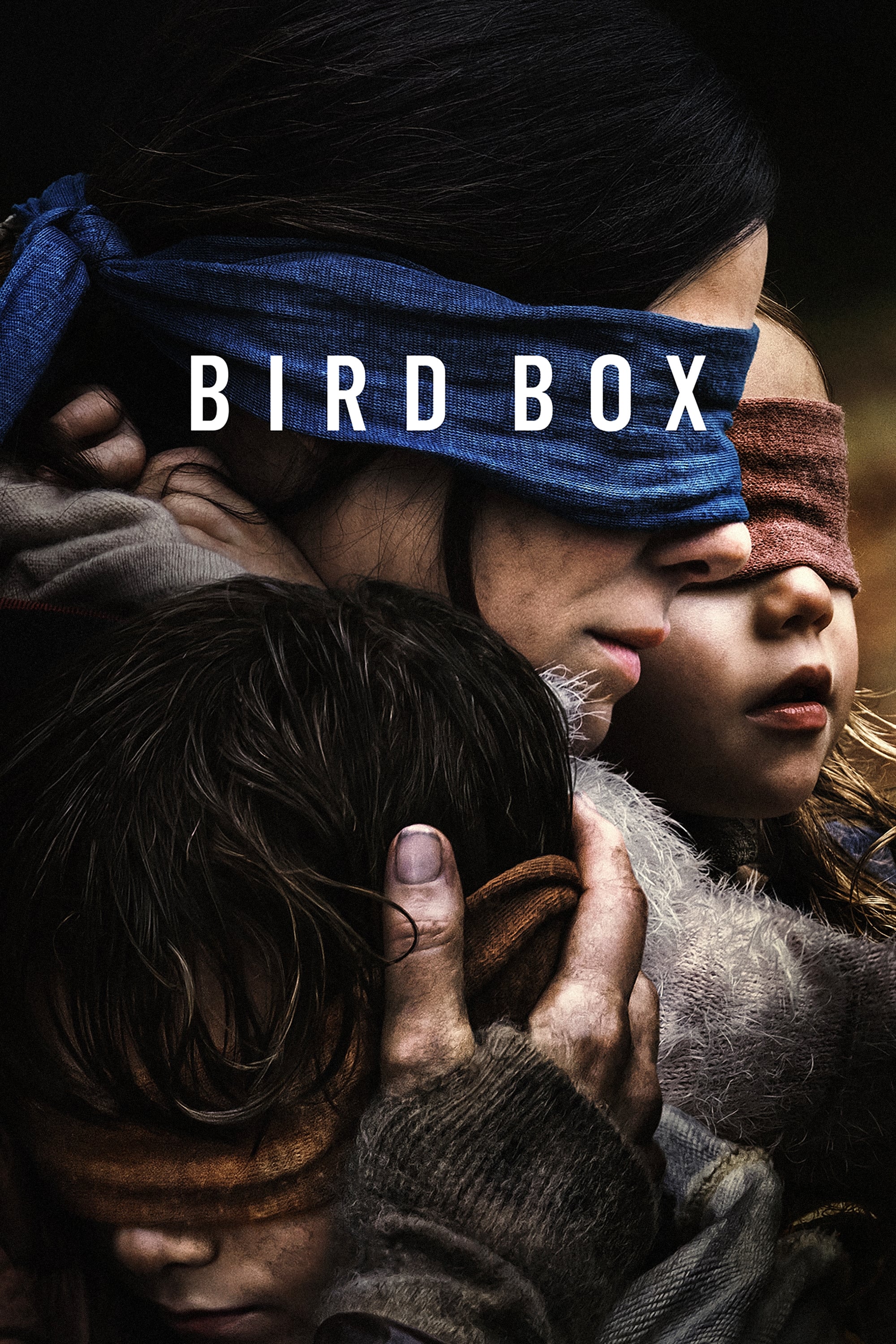  Bird Box 