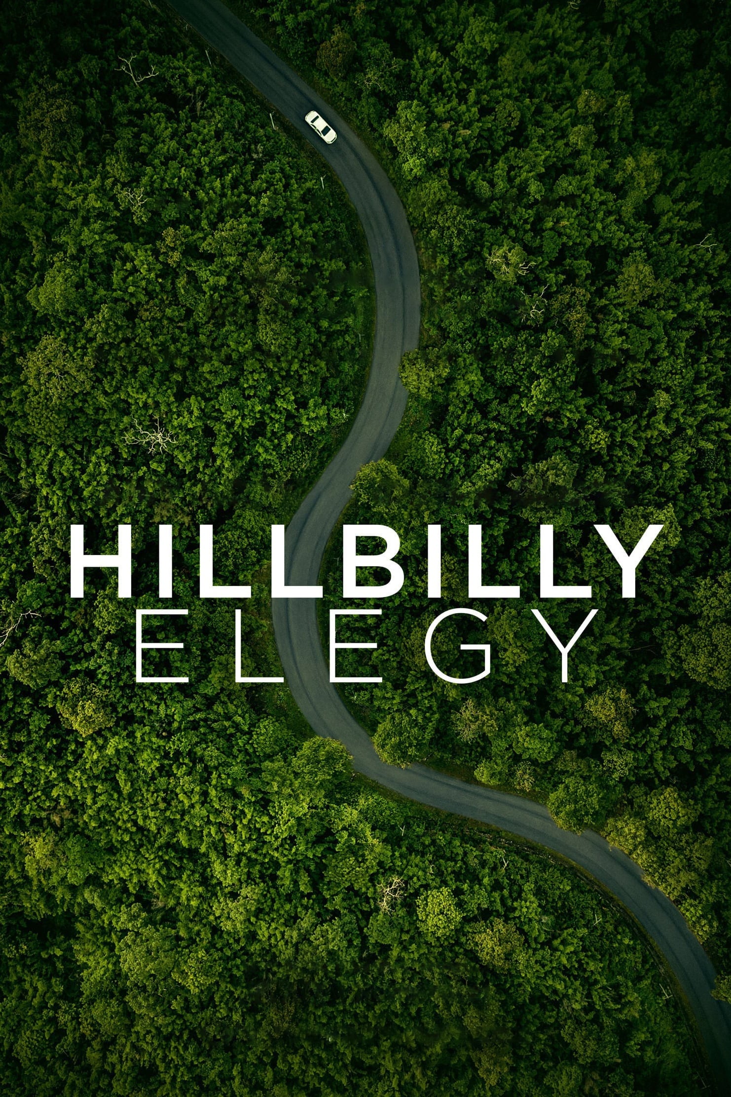  Hillbilly Elegy 