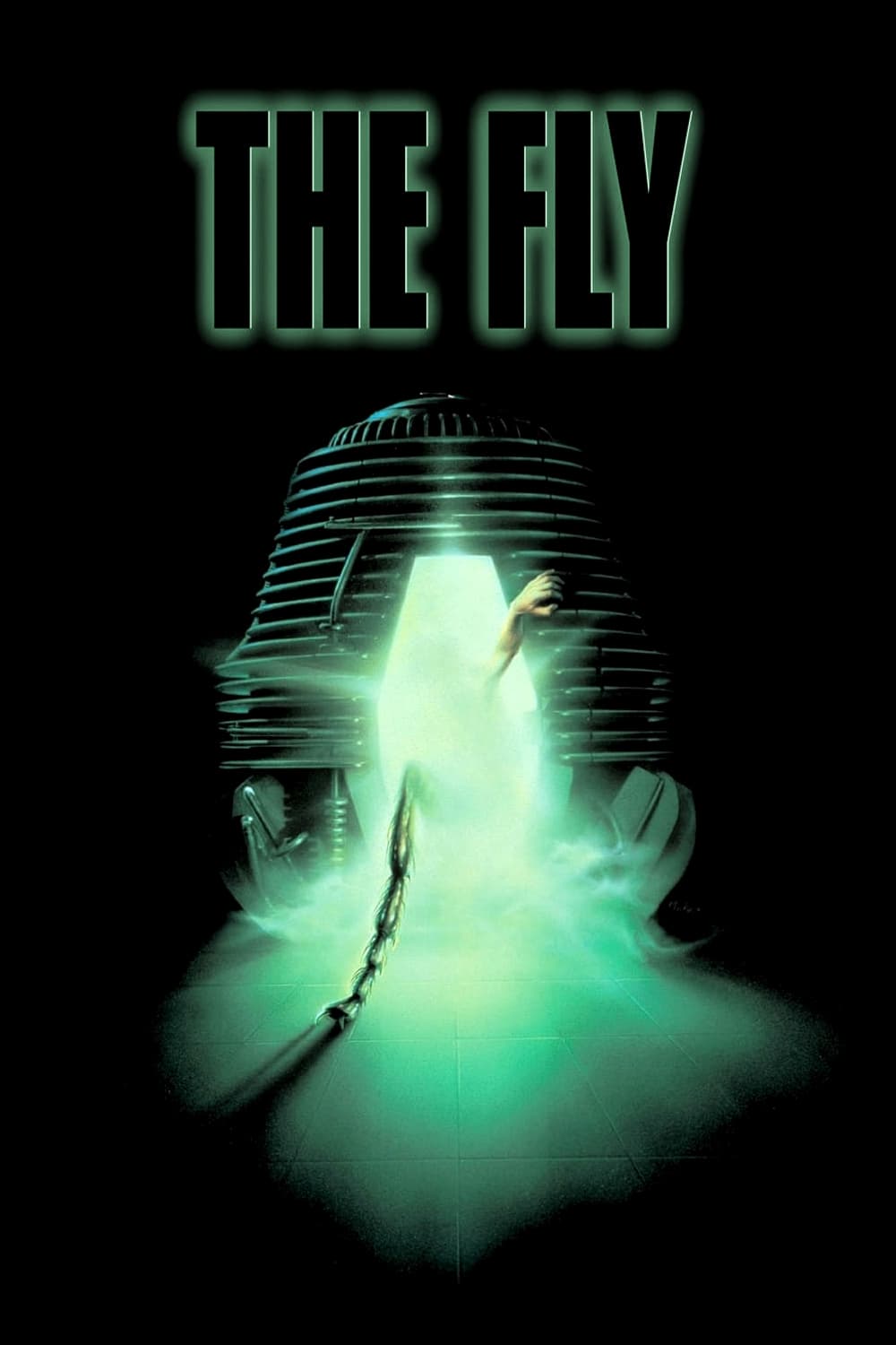  The Fly 