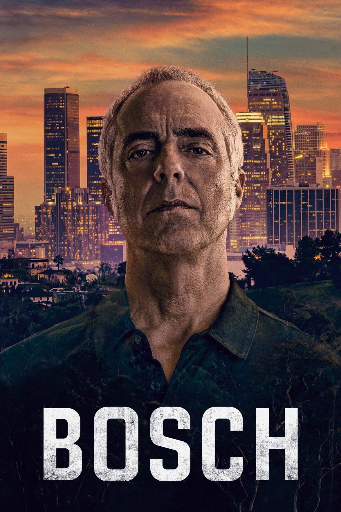  Bosch 