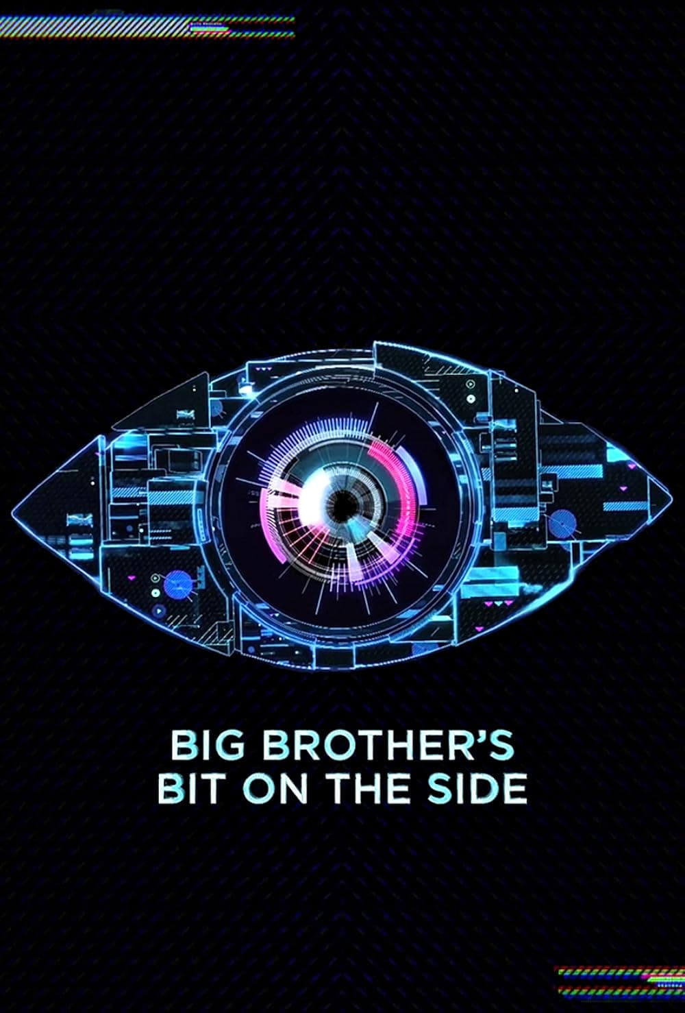  Big Brother's Bit on the Side 