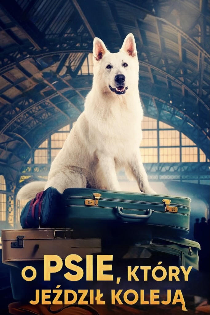  The Travelling Dog 