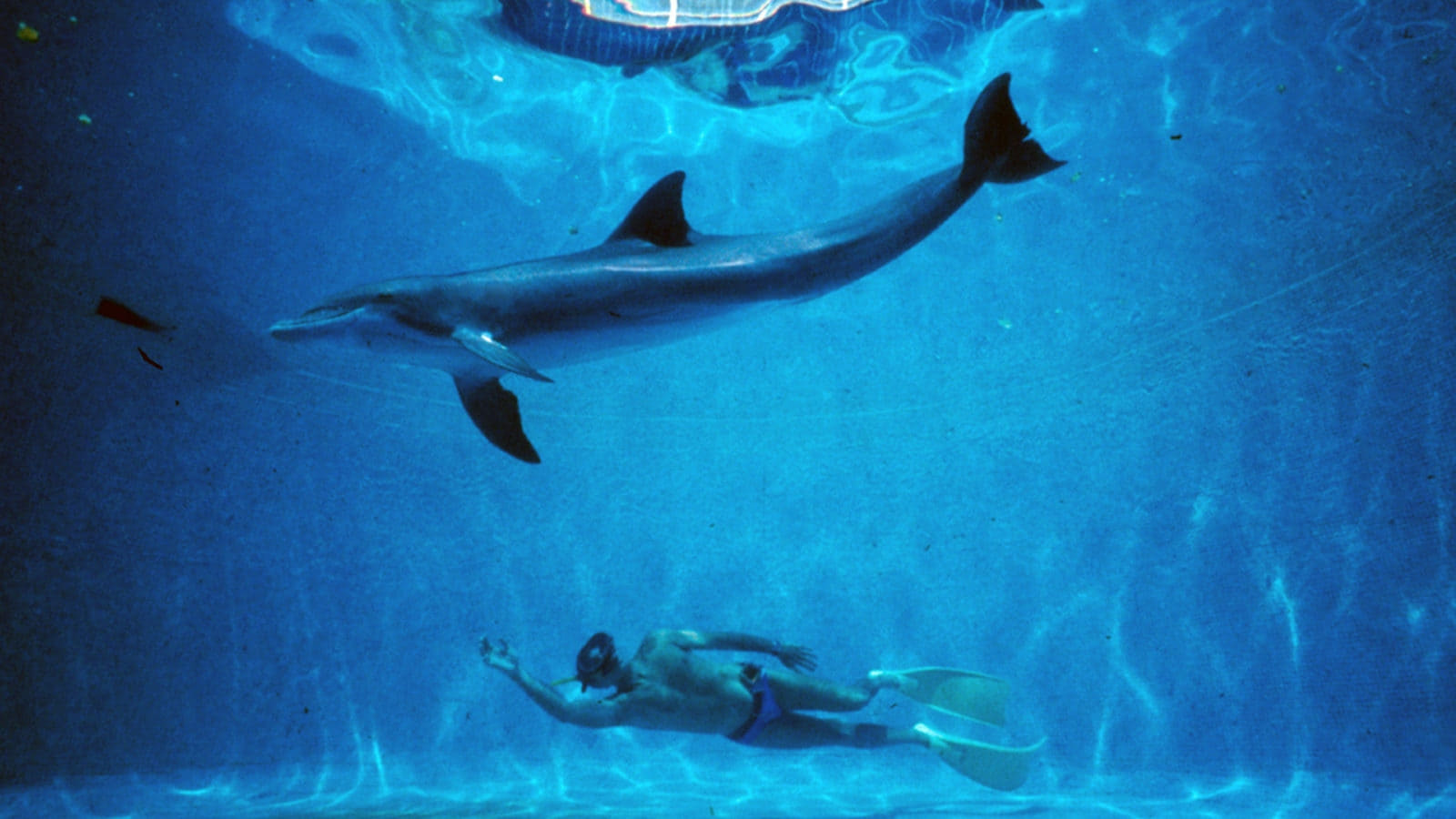  The Big Blue 
