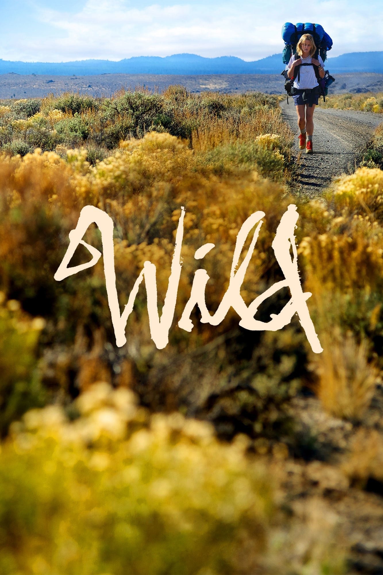  Wild 
