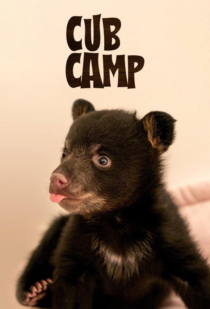 Cub Camp 