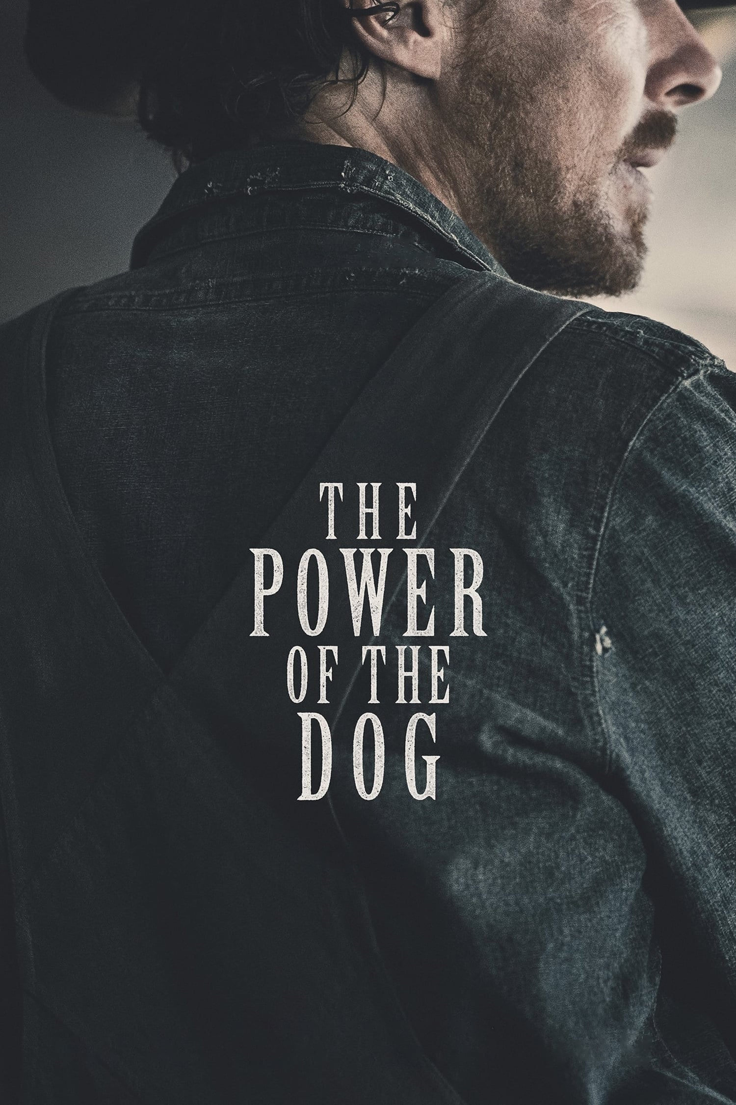  The Power of the Dog 