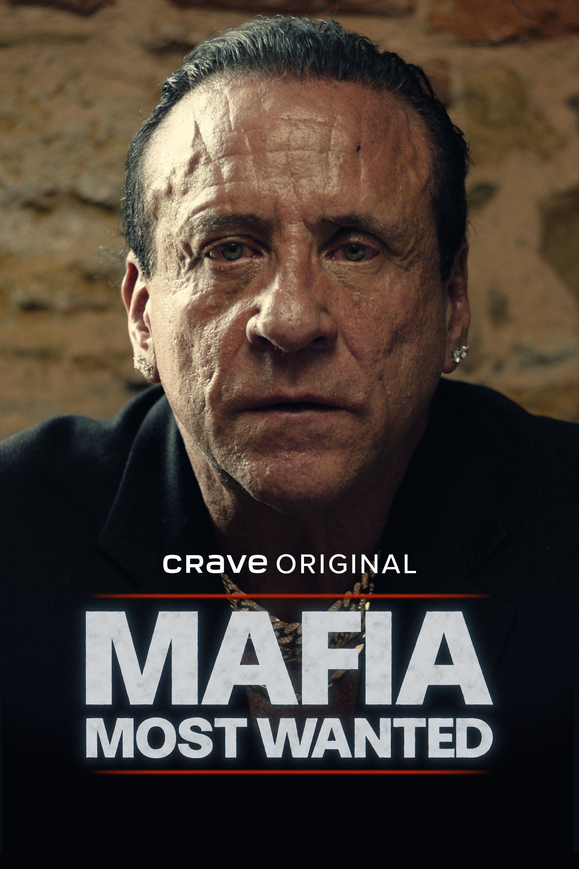  Mafia: Most Wanted 